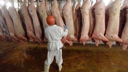 Белоруссия запретила ввоз свинины из Иркутской области