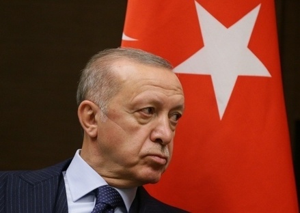 Политолог заподозрила Эрдогана в желании восстановить Османскую империю