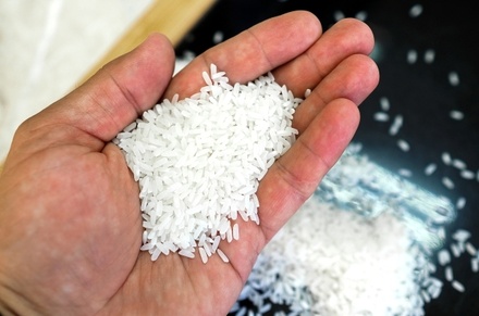 Россельхоз может ограничить ввоз вьетнамского риса в Россию