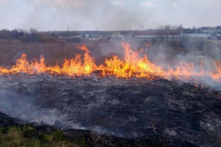 В Чернобыльской зоне отчуждения горит около 10 га сухой травы