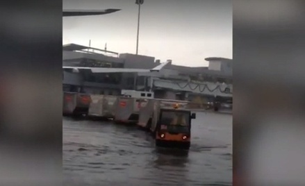 Из-за подтопления в аэропорту Шереметьево самолёты оказались в воде