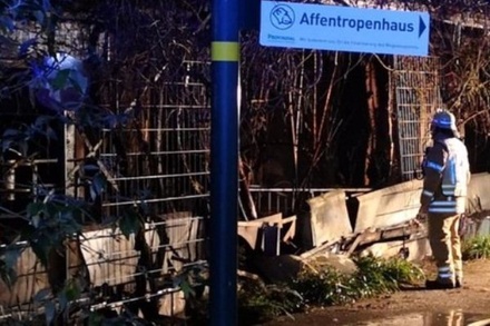 Десятки животных сгорели в зоопарке на западе Германии