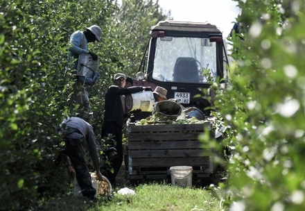 Фермер призвал государство выделять субсидии и гранты для поднятия уровня урожая в РФ  