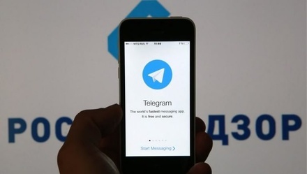 Сенатор назвал борьбу Роскомнадзора с Telegram состязанием между щитом и мечом