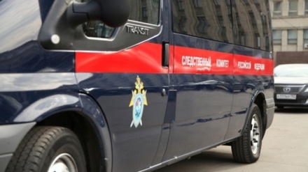 Следователи СКР задержали гендиректора и главного бухгалтера «ВИМ-Авиа»