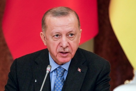 Эрдоган призвал НАТО занять чёткую позицию в ситуации между Россией и Украиной