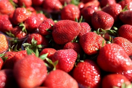 В Госдуме указали на опасность ранних ягод, фруктов и овощей