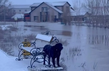 В Казахстане из-за паводков эвакуировали 10,5 тыс. человек