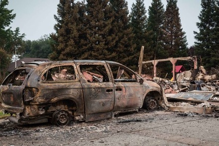 Число жертв лесных пожаров в Калифорнии возросло до 80