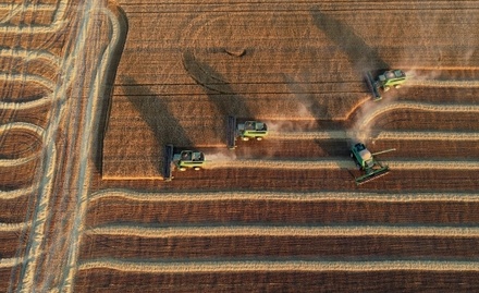 В Российском зерновом союзе не ожидают рекордного урожая зерновых в этом году