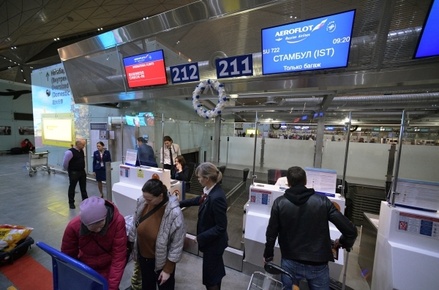 Оператора санкт-петербургского аэропорта Пулково обязали обеспечить защиту от птиц