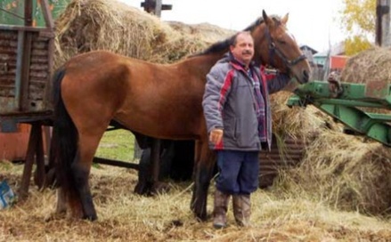 На Камчатке депутат попросил место для коня у здания правительства региона