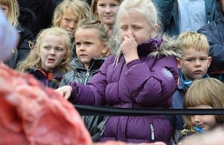 Минприроды РФ выяснит у датского зоопарка цели препарирования льва на глазах у детей