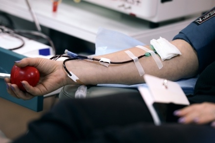 Основатель Фонда доноров России назвал абсурдным запрет геям сдавать кровь