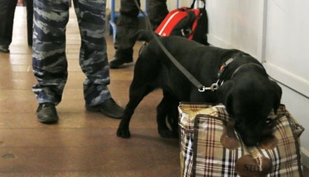 Причиной эвакуации на станции «Новоясеневская» стала забытая сумка