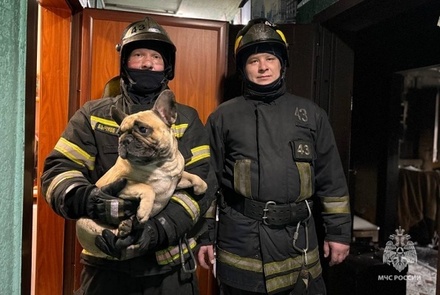 Сотрудники МЧС спасли из горящей в Москве квартиры мужчину и бульдога