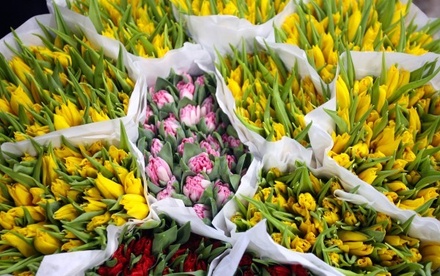 Россия предложила ЕС приостановить сертификацию голландских цветов