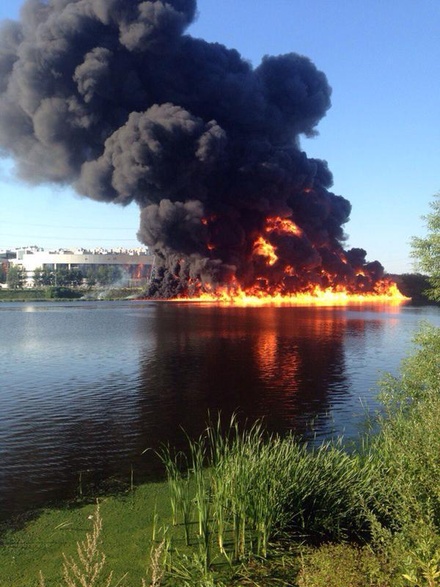 В Greenpeace рассказали о вреде для экологии от пожара на Москве-реке
