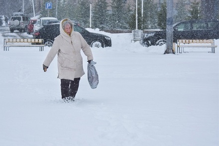 Верховный суд России признал сильный снегопад поводом пропустить работу