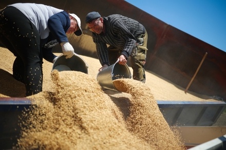 ЕС не намерен подключать Россельхозбанк к SWIFT в рамках зерновой сделки