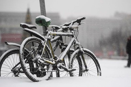 Высота снежного покрова в Москве этой зимой оказалась в 2,5 раза меньше нормы