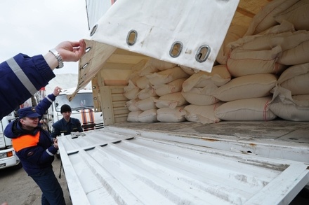 В Донецк и Луганск прибыли машины с гуманитарной помощью из России