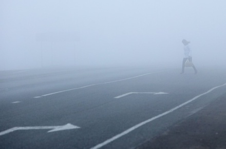 МЧС предупредило водителей о густом тумане в Подмосковье 