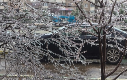 Первые заморозки в Москве ожидаются в ночь на четверг