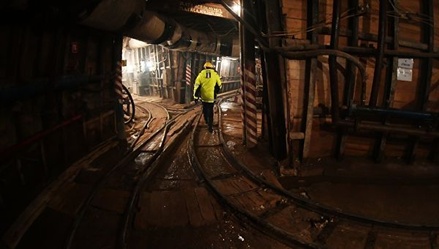 Первый участок розовой ветки метро Москвы планируют запустить в июне