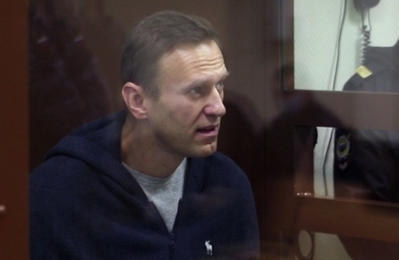 Адвокаты Навального обратились в СЕ из-за неисполнения решения ЕСПЧ