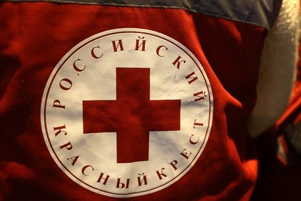 Красный Крест обнародовал число заявок о пропавших на Украине с начала СВО
