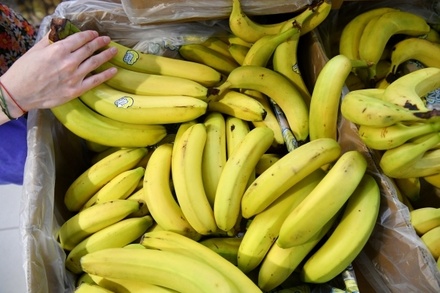 Эквадор оценил потери поставок бананов из-за СВО на Украине
