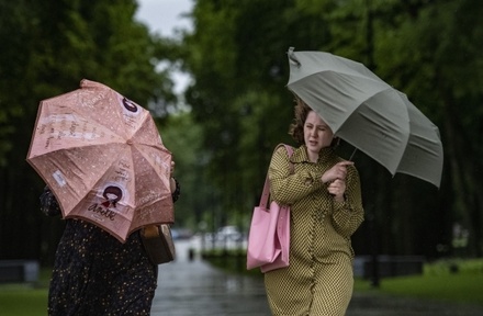 Спасатели предупредили москвичей о дожде и сильном ветре