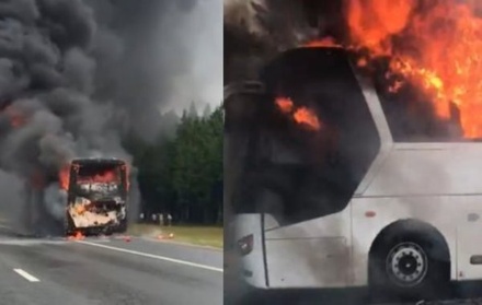 Туристический автобус сгорел в Ленинградской области