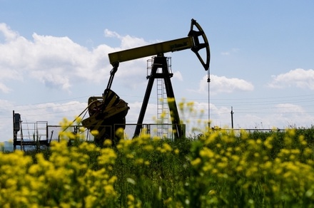 Цена нефти Brent вернулась на уровень выше 50 долларов за баррель
