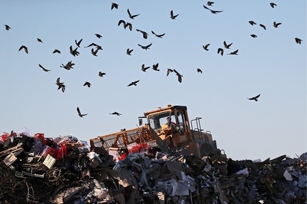 Глава Минприроды назвал критической ситуацию с вывозом мусора в ряде регионов