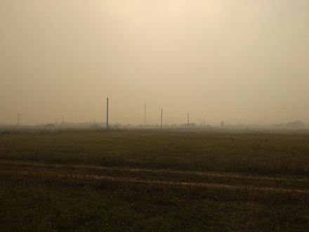 Часть трассы М-7 во Владимирской области задымлена из-за пожара