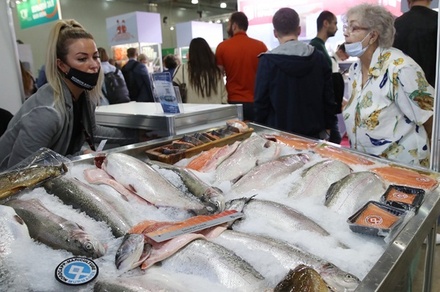 Эколог назвал безопасными для употребления в пищу камчатские морепродукты