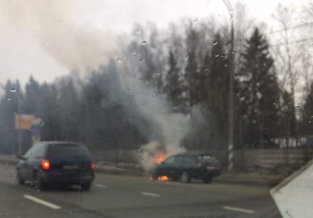 Очевидцы: на Ленинградском шоссе под Елино загорелся автомобиль 