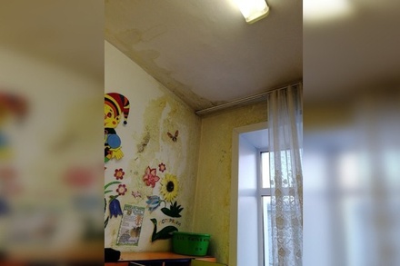Власти отремонтируют стены с плесенью в детском саду Бийска к лету