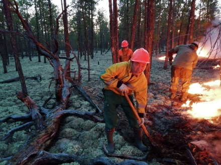 Площадь природных пожаров в Сибири и ДФО сократилась больше, чем на 1 млн га