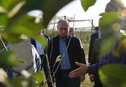 Владимиру Путину подарили на день рождения саженцы яблони