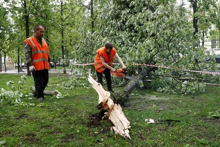 Семья погибшего во время урагана москвича намерена подать иск против мэрии
