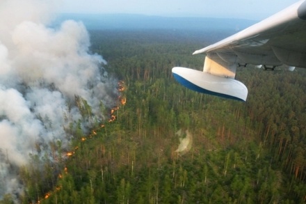 Генпрокуратура обвинила власти Иркутской области в искажении статистики по лесным пожарам