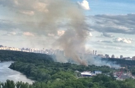 В московском посёлке Терехово произошёл природный пожар