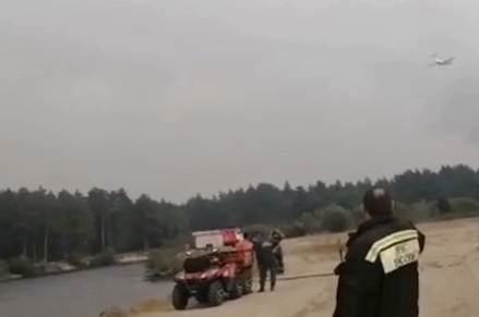 Власти Рязанской области рассказали о ситуации с лесными пожарами в регионе