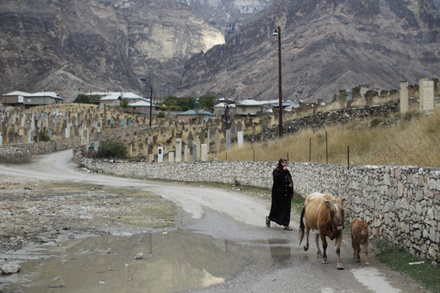 Обычай обрезания у женщин в Дагестане назвали безопасным для здоровья 