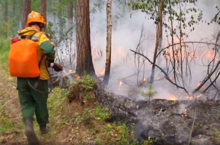 Пожарные в Иркутской области пожаловались на невыплату зарплаты