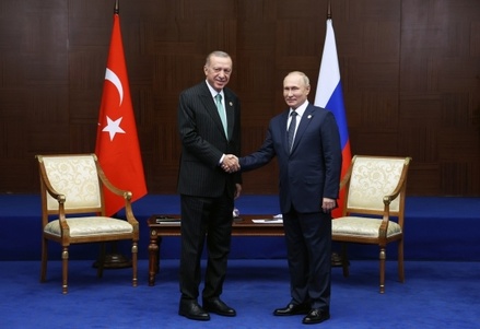 В Совфеде предрекли отмену визита Путина в Турцию после освобождения командиров «Азова»*