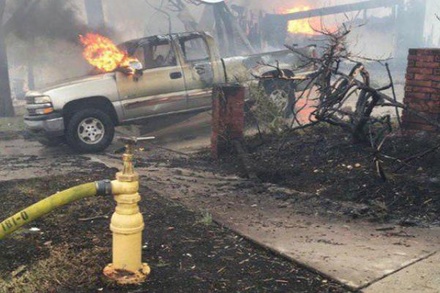 Число жертв пожаров в Калифорнии возросло до 25